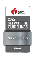 GWTG_STROKE-PLUS_2022_Silver_4C.png GWTG_STROKE-PLUS_2022_Silver_4C.png